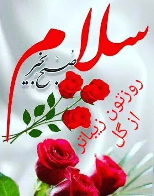 صبح است🌸🍃
یاس را باید ڪاشت
توے گلدان ظریفے ڪہ 
پر از عطر 
