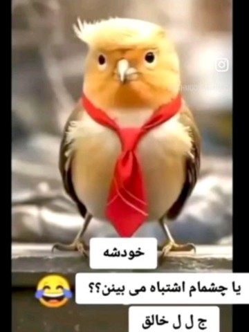 ناکس 😁😁😁😁 