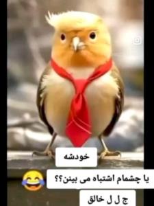 ناکس 😁😁😁😁 