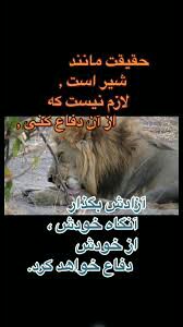 ⭐️💙فقط با کسانی بحث کنید که می دانید
آن قدر عقل و عزت نفس د