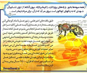 الان‌میان‌میگن‌زنبوره‌ازعربهاپول‌گرفته😂