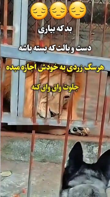 چقدر غم انگیزه 😔😔😔☝️