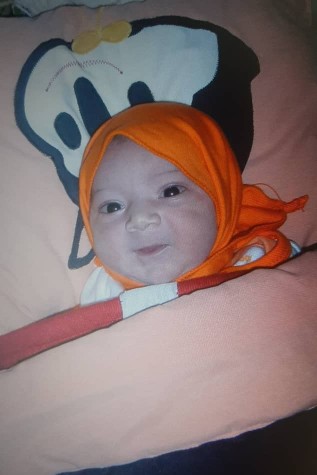 فندق بابا