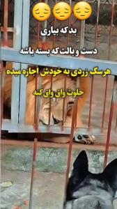 چقدر غم انگیزه 😔😔😔☝️