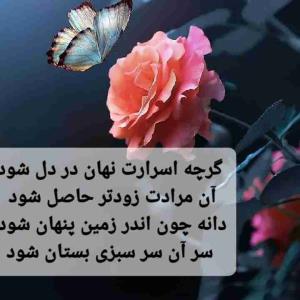 گرچه اسرارت نهان در دل شود آن مرادت زودتر حاصل شود