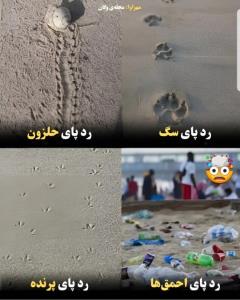 رد پای احمق ها 🤯☝️