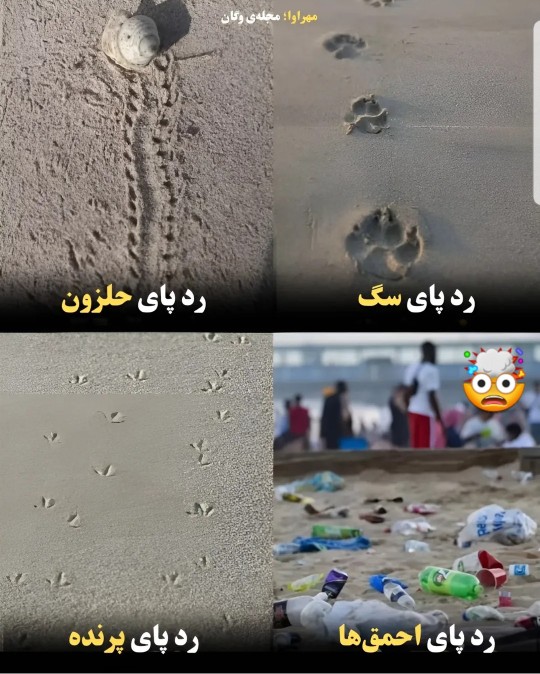 رد پای احمق ها 🤯☝️