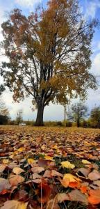 ما هرگز از آنچه نمی‌دانستیم و از کسانی 