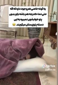 شما هم پتوزیست هستید یا نه؟ 😂