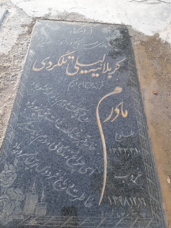 لطفا اگه دوست داشتید واسه شادی روح مادرم یک فاتحه 