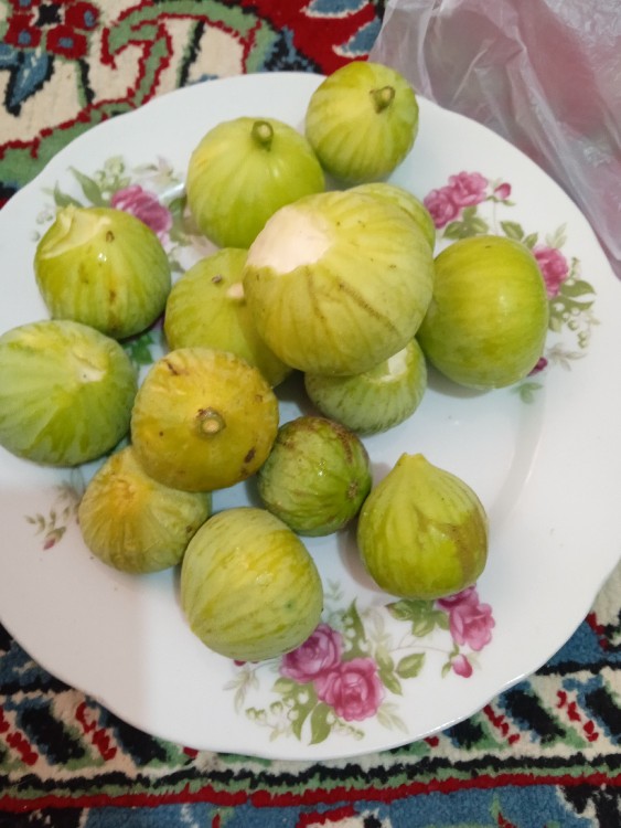 انجیر گلوگاه