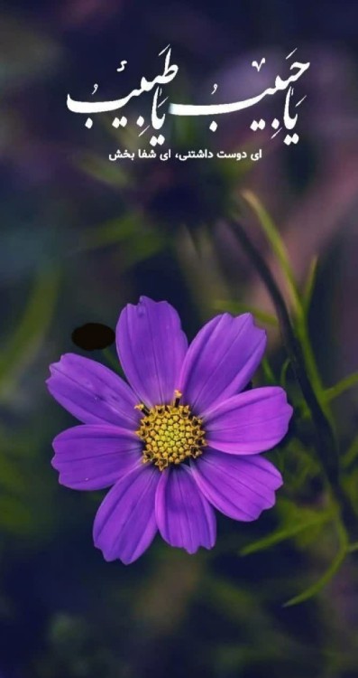 ای دوست داشتنی،ای شفا بخش