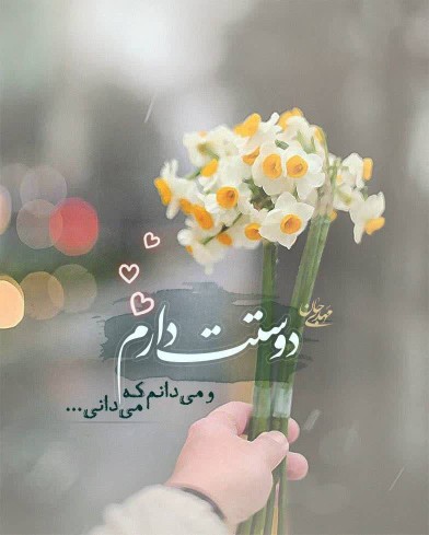 سلام ظهر بخیر