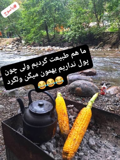 سلام دوسیای گل عصرتون بخیر 🙋🏻‍♀️🌷🥰