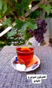 عصرتون شیرین و دلپذیر 🍇🍇