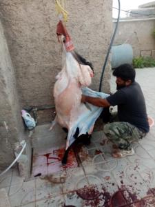 پسرخاله دست بخیر سالم باشی