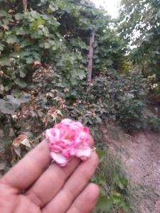  تقدیمی بذارم برای یکی که فقط فقط خودش می‌دونه کیه ،😉😉😉🥰
