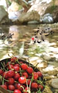 سلام صبح زیباتون بخیر 🥰