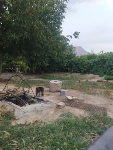 حال دلت عالی عالی 