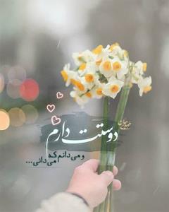 سلام ظهر بخیر