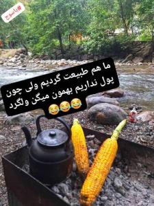 سلام دوسیای گل عصرتون بخیر 🙋🏻‍♀️🌷🥰