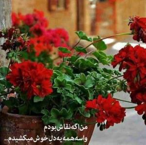 ارسالی