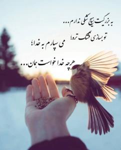 هرچی خدا خواست همان 