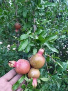 کسی که بهت انرژی مثبت میده دوسش داشته باش چه دور باشه چه 