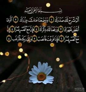 🍃🌸✺✦﷽‌‌‌‌✦✺🌸🍃 