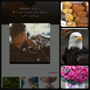 رُندی قشنگت مبارک آقا مهدی(۶۰۰)🎊🎊🎊✌️🔥
