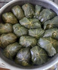 پریو دلمه های دلبرش🤩🤩😋😋😋😋😋