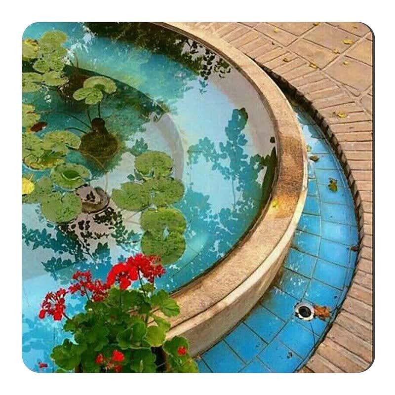 شب خوش دوستانم⚘🦋🌟🌟⭐⭐