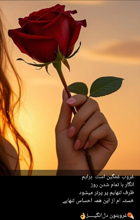 تنهایی
