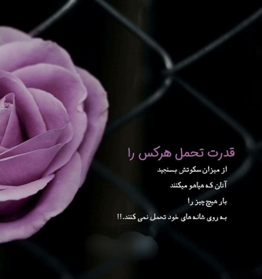 قدرت تحمل هرکس را
از میزان سکوتش بسنجید
آنان که هیاهو میکنند