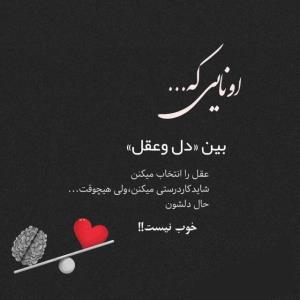 دل و عقل 