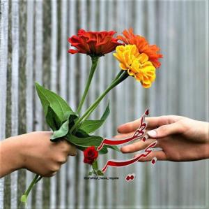 ظهربخیر❤️