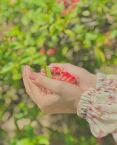 عصرت قشنگ زندگی☀️🌈🌱💯💐❤