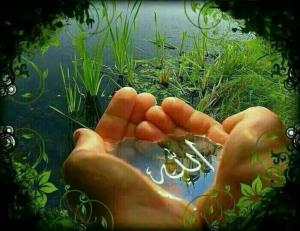 شب دوستانم درپناه خدا 🦋⚘⭐🌟⭐🌟