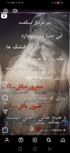 سعید