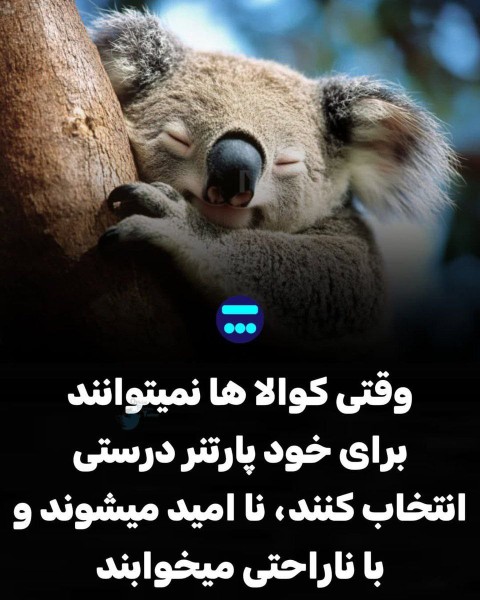 من رفتم بخوابم اگر اهمیت میدهید.
