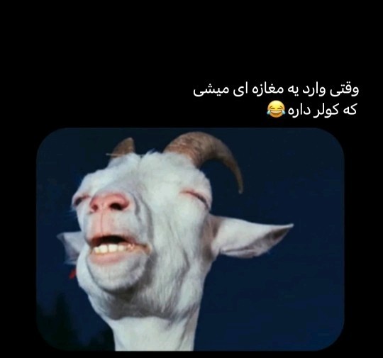 🥵🥵🥵😀😀😀😀
