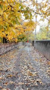 .
گاهی دل‌ها بخاطر 
نگفته‌ها می‌شکند...
