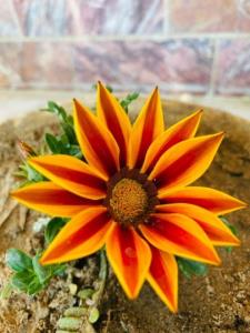 به طرف مقابلتون بگین امیدوارم 