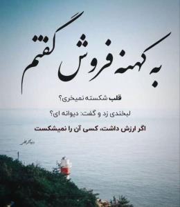 عصر بخیر 