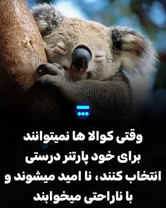 من رفتم بخوابم اگر اهمیت میدهید.
