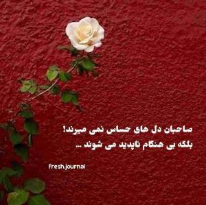 مشکلات به جای اینکه درست بشن، 
   درشت میشن!!!


