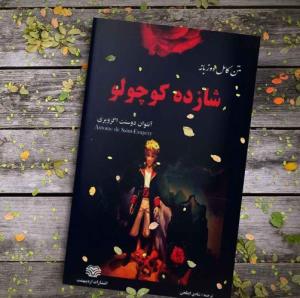 ‹ میگذرانیم جهانِ گذران را ... ›️ 🌷💐⭐️💫