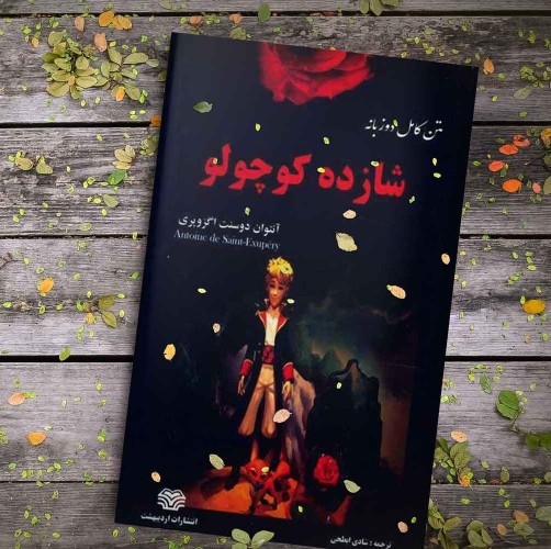 ‹ میگذرانیم جهانِ گذران را ... ›️ 🌷💐⭐️💫
