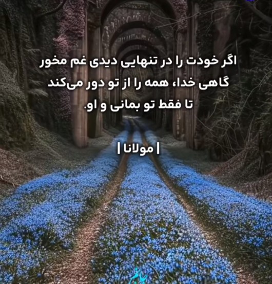 سخن ناب