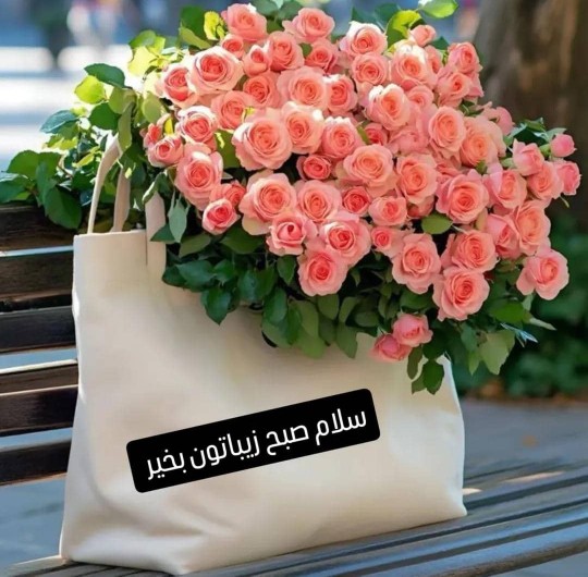 سلام روزگار بکام